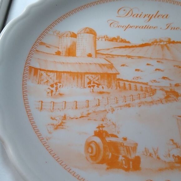 Vintage 2005 Diarylea Cooperative Inc White and Orange Countryside Dinner Plate - Picture 2 of 6